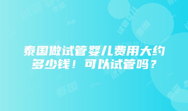 泰国做试管婴儿费用大约多少钱！可以试管吗？