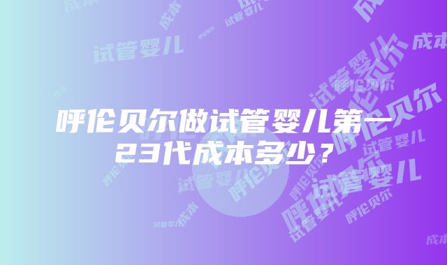 呼伦贝尔做试管婴儿第一23代成本多少？