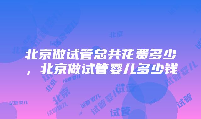 北京做试管总共花费多少，北京做试管婴儿多少钱