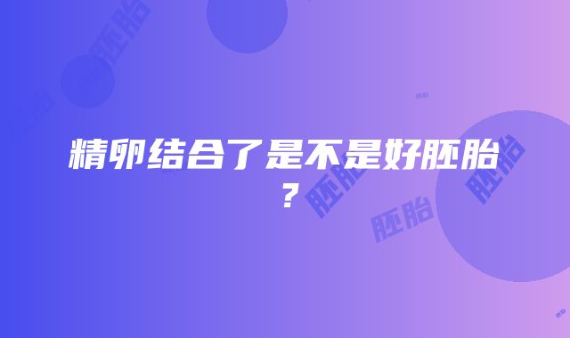 精卵结合了是不是好胚胎？