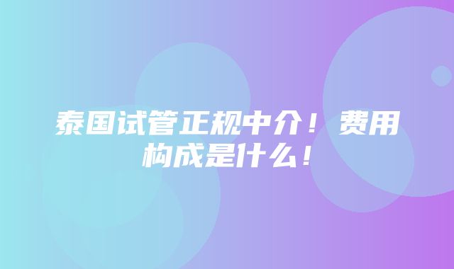 泰国试管正规中介！费用构成是什么！