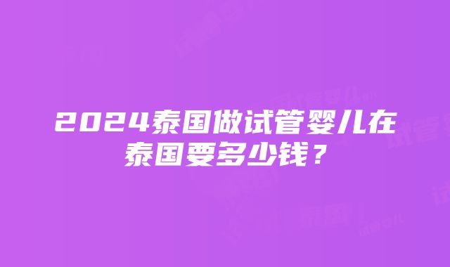 2024泰国做试管婴儿在泰国要多少钱？