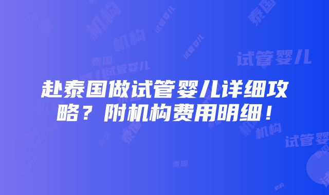 赴泰国做试管婴儿详细攻略？附机构费用明细！