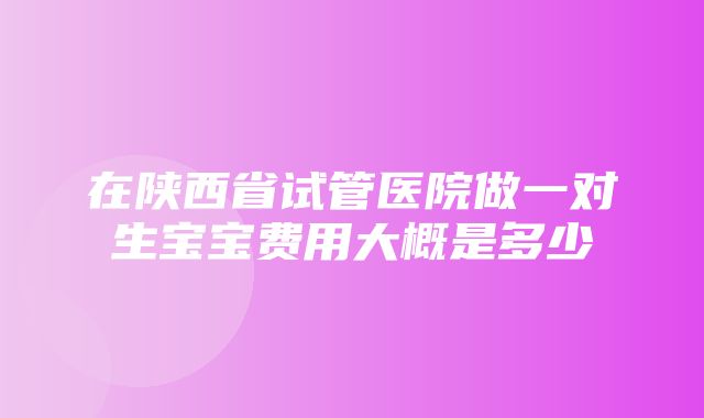 在陕西省试管医院做一对生宝宝费用大概是多少