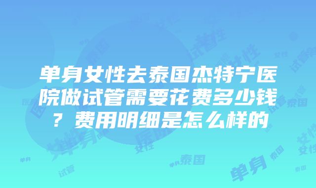 单身女性去泰国杰特宁医院做试管需要花费多少钱？费用明细是怎么样的