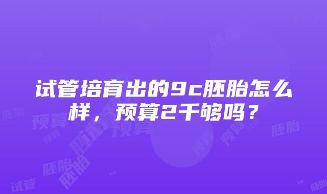 试管培育出的9c胚胎怎么样，预算2千够吗？