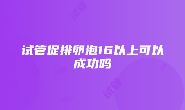 试管促排卵泡16以上可以成功吗