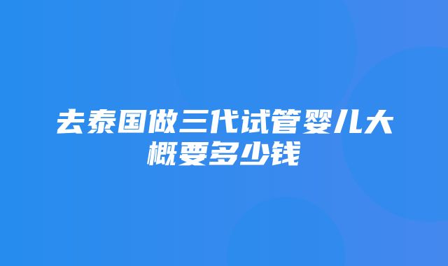 去泰国做三代试管婴儿大概要多少钱