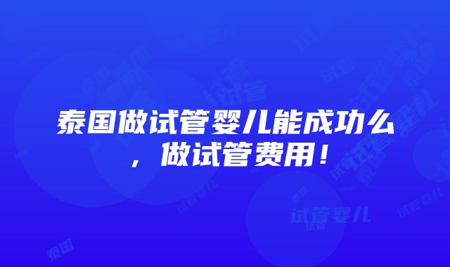 泰国做试管婴儿能成功么，做试管费用！