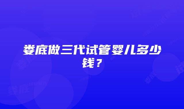 娄底做三代试管婴儿多少钱？