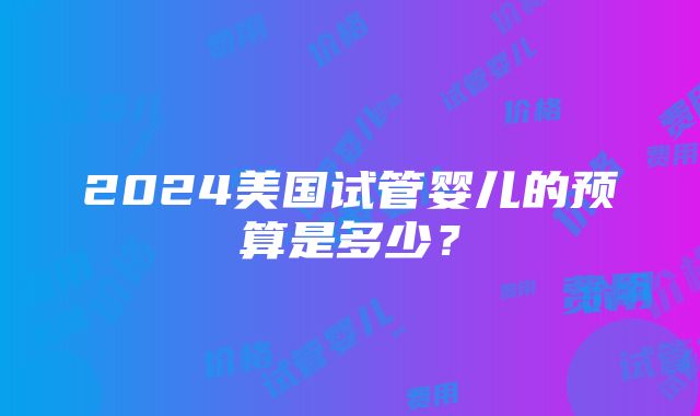 2024美国试管婴儿的预算是多少？