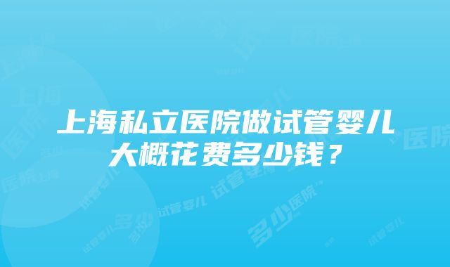 上海私立医院做试管婴儿大概花费多少钱？