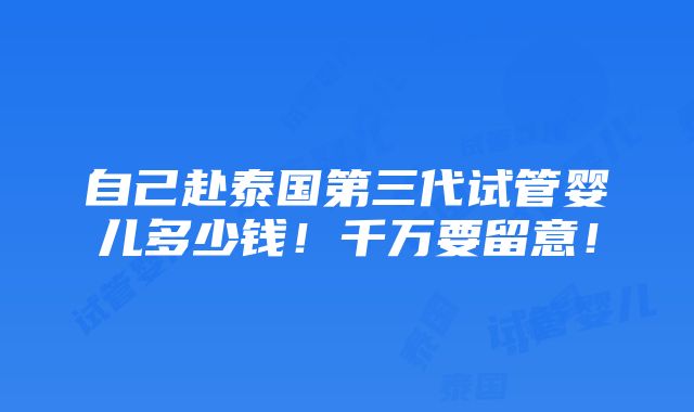 自己赴泰国第三代试管婴儿多少钱！千万要留意！