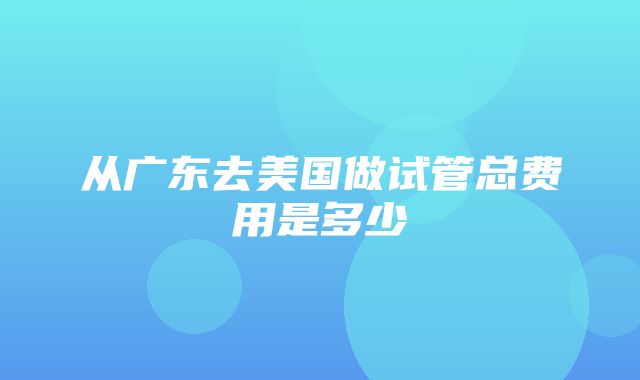 从广东去美国做试管总费用是多少