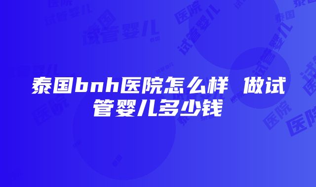 泰国bnh医院怎么样 做试管婴儿多少钱