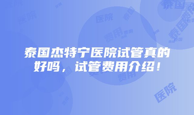 泰国杰特宁医院试管真的好吗，试管费用介绍！