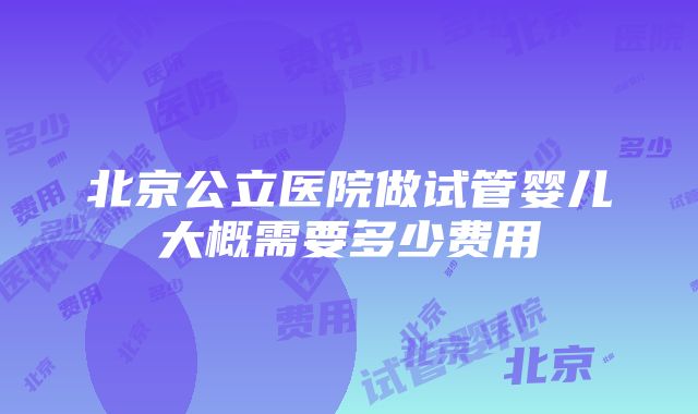 北京公立医院做试管婴儿大概需要多少费用