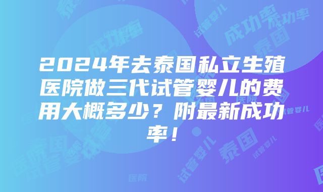 2024年去泰国私立生殖医院做三代试管婴儿的费用大概多少？附最新成功率！