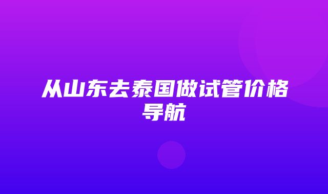 从山东去泰国做试管价格导航