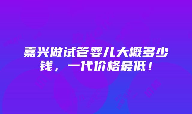 嘉兴做试管婴儿大概多少钱，一代价格最低！