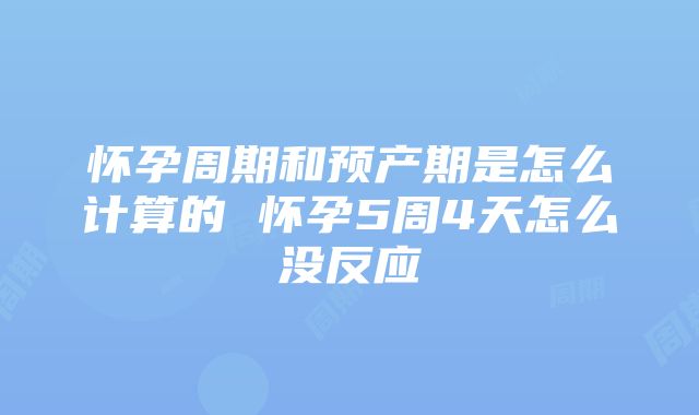 怀孕周期和预产期是怎么计算的 怀孕5周4天怎么没反应