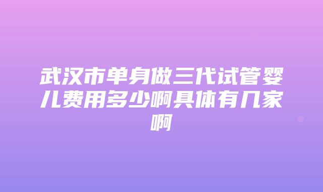 武汉市单身做三代试管婴儿费用多少啊具体有几家啊