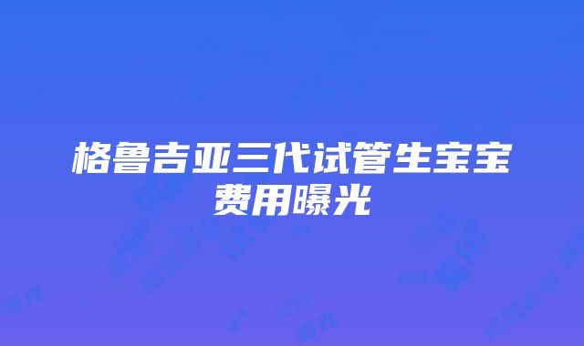 格鲁吉亚三代试管生宝宝费用曝光