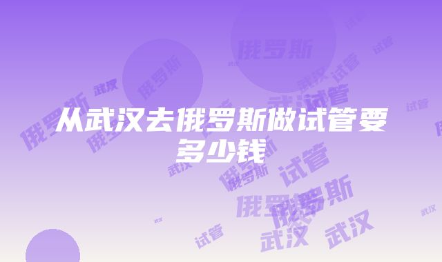 从武汉去俄罗斯做试管要多少钱