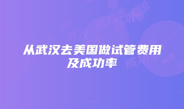 从武汉去美国做试管费用及成功率