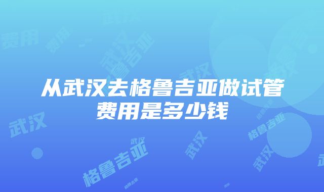 从武汉去格鲁吉亚做试管费用是多少钱