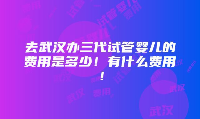 去武汉办三代试管婴儿的费用是多少！有什么费用！