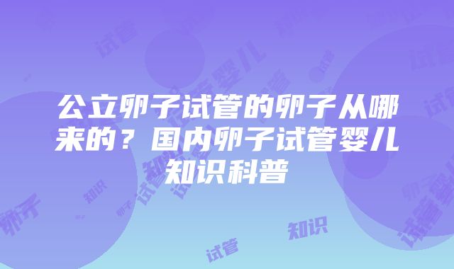 公立卵子试管的卵子从哪来的？国内卵子试管婴儿知识科普