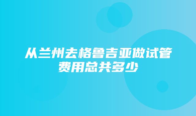 从兰州去格鲁吉亚做试管费用总共多少