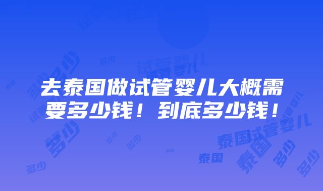 去泰国做试管婴儿大概需要多少钱！到底多少钱！