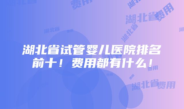 湖北省试管婴儿医院排名前十！费用都有什么！