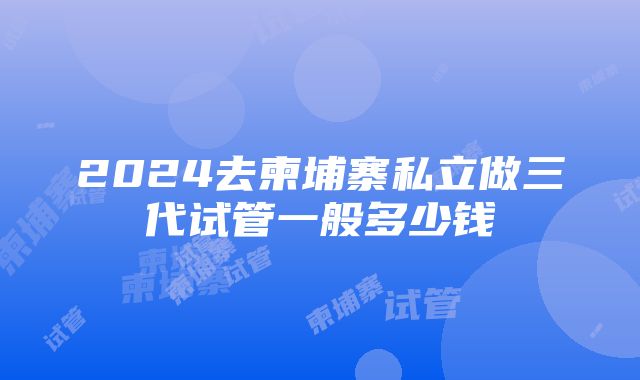 2024去柬埔寨私立做三代试管一般多少钱