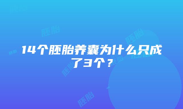 14个胚胎养囊为什么只成了3个？