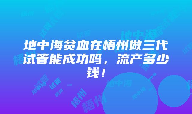 地中海贫血在梧州做三代试管能成功吗，流产多少钱！