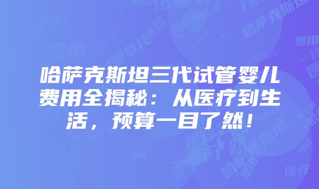 哈萨克斯坦三代试管婴儿费用全揭秘：从医疗到生活，预算一目了然！