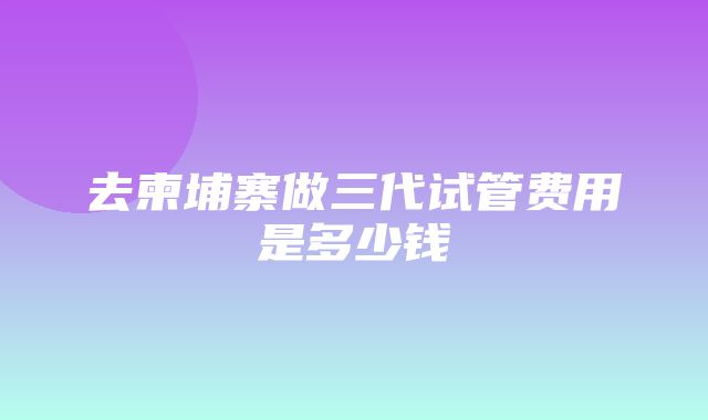 去柬埔寨做三代试管费用是多少钱