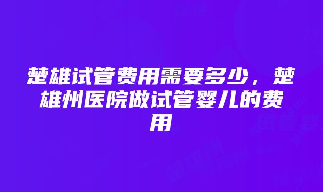 楚雄试管费用需要多少，楚雄州医院做试管婴儿的费用