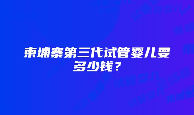 柬埔寨第三代试管婴儿要多少钱？