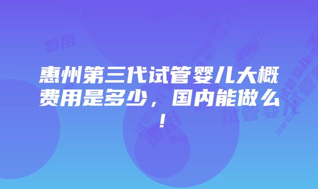 惠州第三代试管婴儿大概费用是多少，国内能做么！