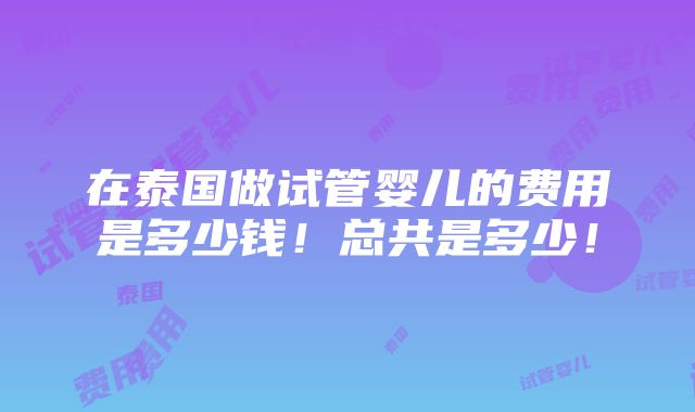 在泰国做试管婴儿的费用是多少钱！总共是多少！