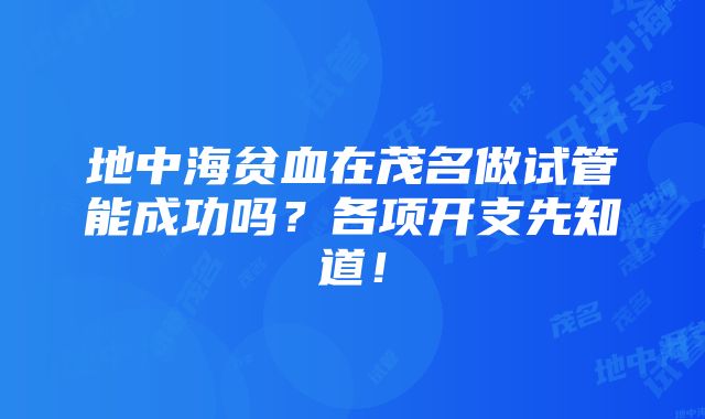 地中海贫血在茂名做试管能成功吗？各项开支先知道！