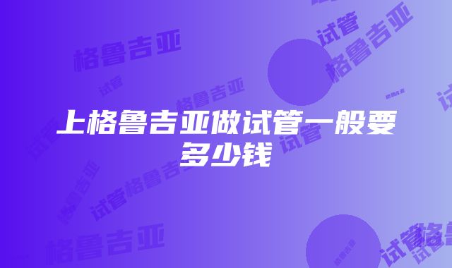 上格鲁吉亚做试管一般要多少钱