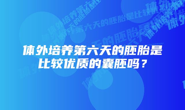 体外培养第六天的胚胎是比较优质的囊胚吗？