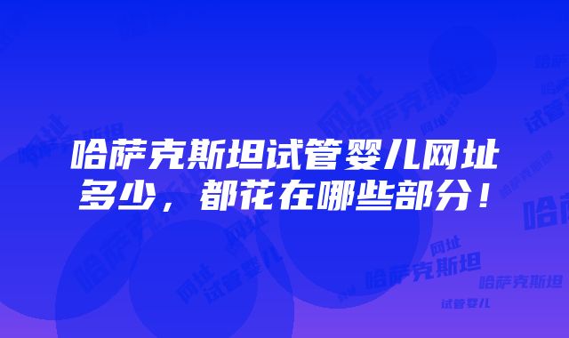 哈萨克斯坦试管婴儿网址多少，都花在哪些部分！