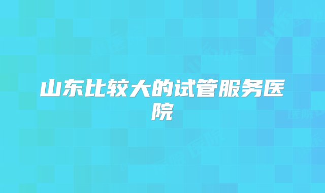 山东比较大的试管服务医院