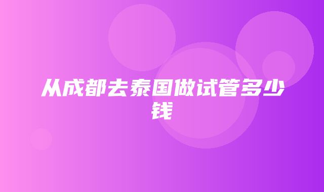 从成都去泰国做试管多少钱